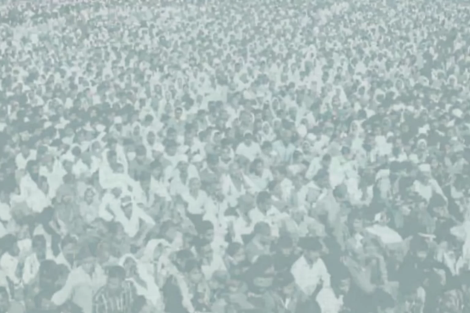 About Social Studies Foundation